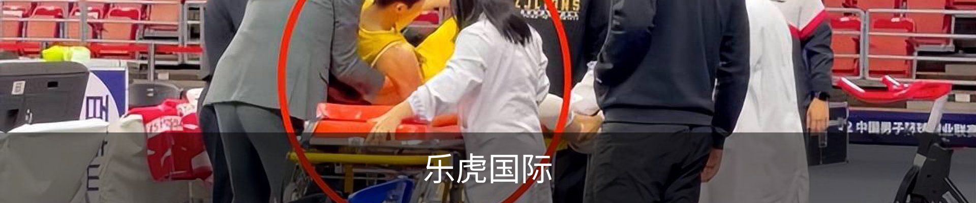 乐虎国际